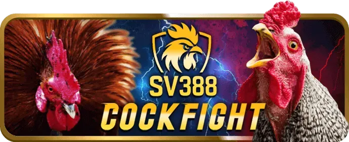 Giải thích Dabet Code